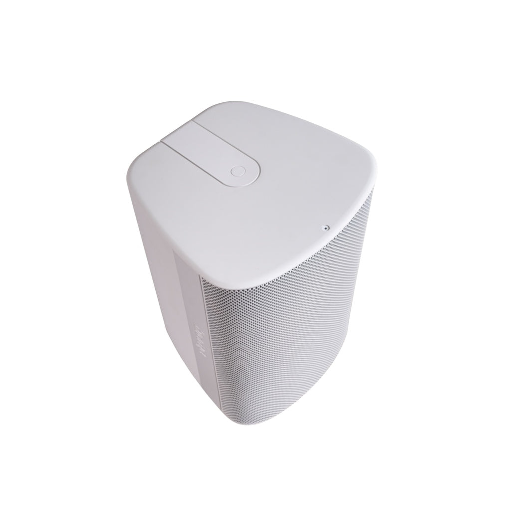 Biamp Desono DX-S8-W 8in Surface Speaker, view 4