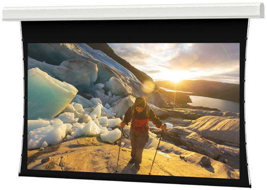 Da-Lite 14082EF Tensioned Advantage Series 146x260 Inch Screen Surface with Roller / Motor