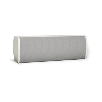 Bose AMU208-120 ArenaMatch Utility loudspeaker in white, front angle view