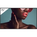 Sony BRAVIA FW-75BZ40L rear connectivity panel