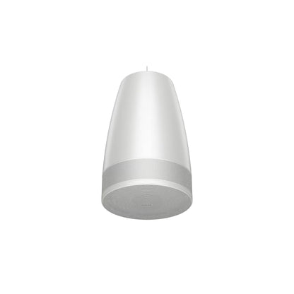 Bose DML88P pendant loudspeaker packaging