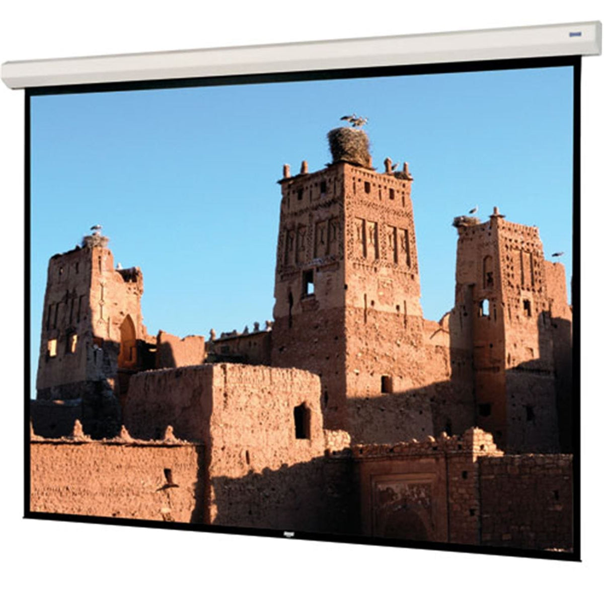 Da-Lite 40823 Cosmopolitan 12' X 12' Projection Screen product photo