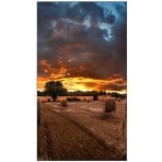 Samsung VM46B-U 46" Full HD VMB-U Series Ultra-Narrow Bezel Commercial LCD Video Wall Display