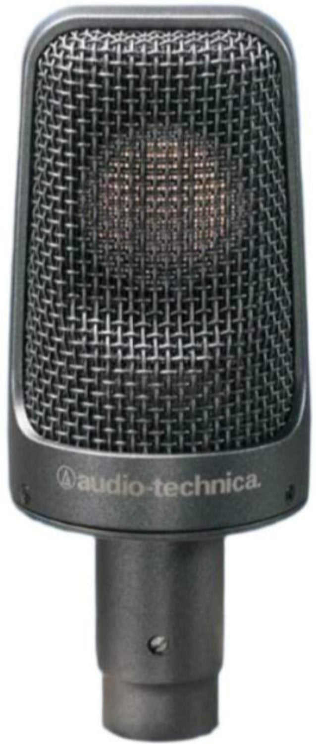 Audio-Technica AE3000 Instrument Microphone product photo