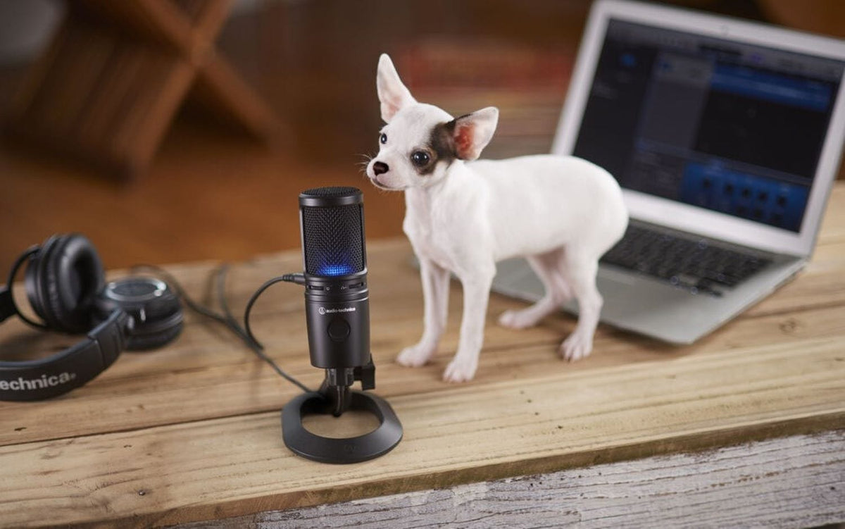 Audio-Technica AT2020USB-XX AT2020USB-X Cardioid Condenser USB Microphone with Desk Stand / Pop-Filter additional product photo 12
