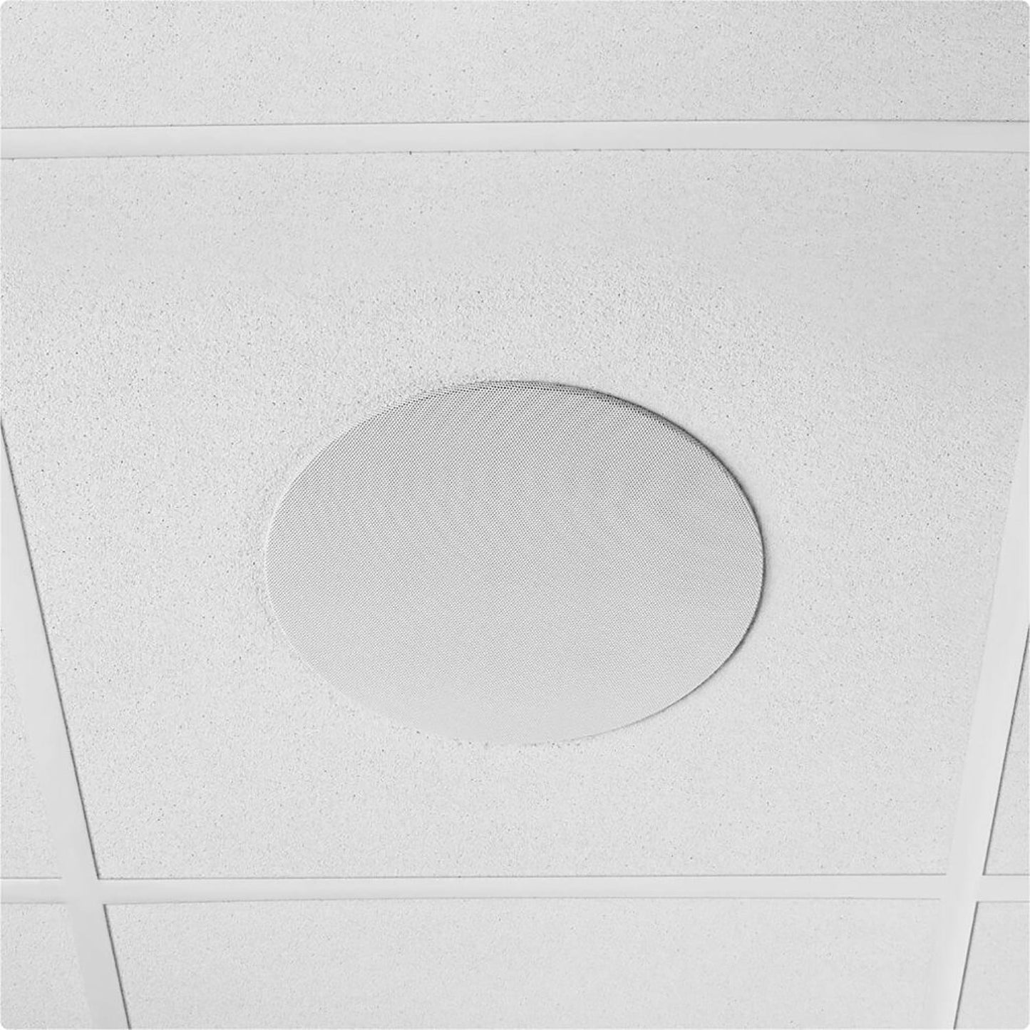 Shure MXN5W-C Loudspeaker