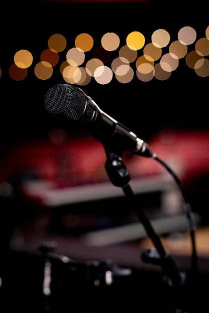 Shure Nexadyne 8/C Dynamic Microphone