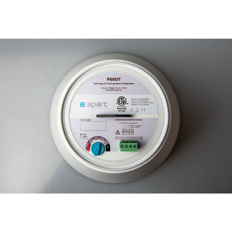 Biamp P60DT-W 6.5in Pendant Speaker, view 2