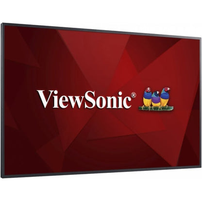 Viewsonic CDE6510 65" 4K Ultra HD Commercial Display