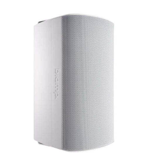 Biamp Desono EX-S10SUB-UB-W 10 Inch Surface Mount Indoor/Outdoor Subwoofer with U-Bracket, White