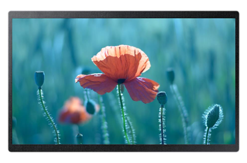 Samsung QB24R-B 24 inch Full HD smart signage display featuring a compact chassis and 16/7 industrial runtime. Professional hardware available for volume B2B procurement in Dubai and Abu Dhabi via Trianze Tech.
